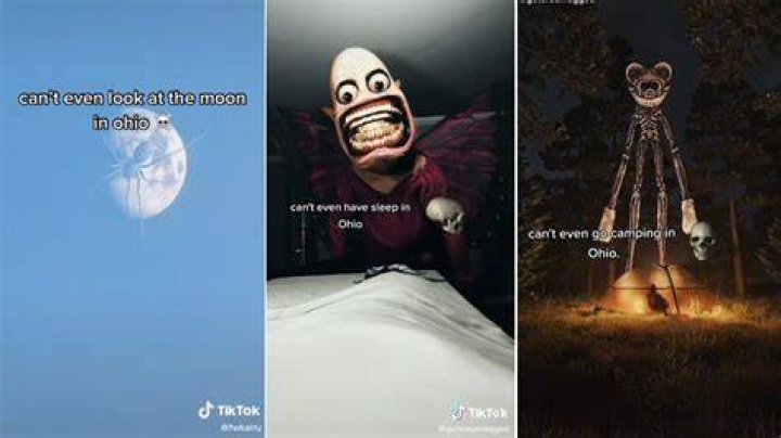 Why can't I see the other person on Hangouts?