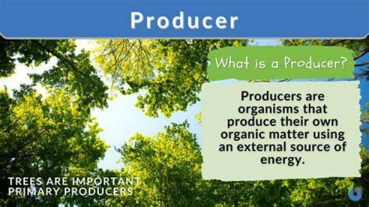 Why can't the producers in some ecosystems make an unlimited supply of organic material?