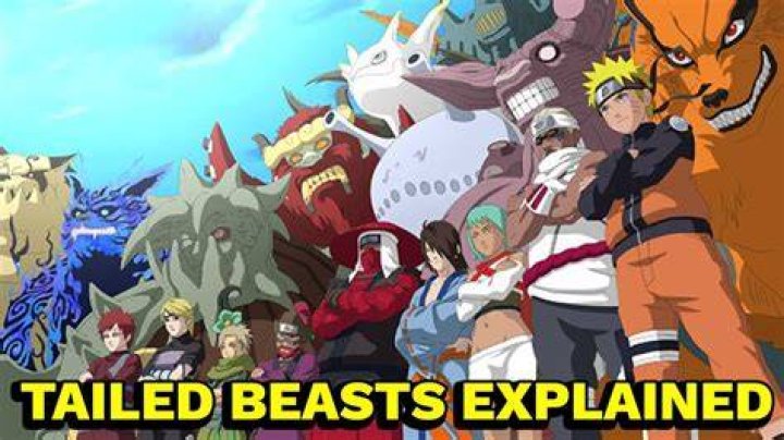 Why did they put the Nine Tails in Naruto?