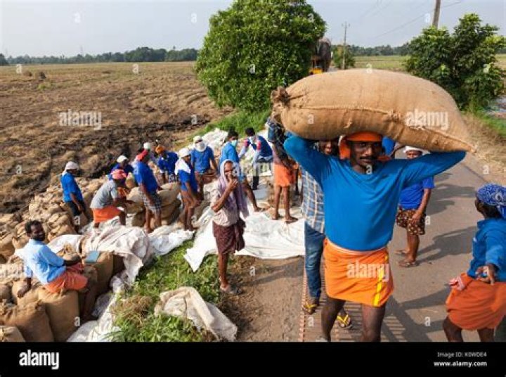 Why do Labourers have big hands?