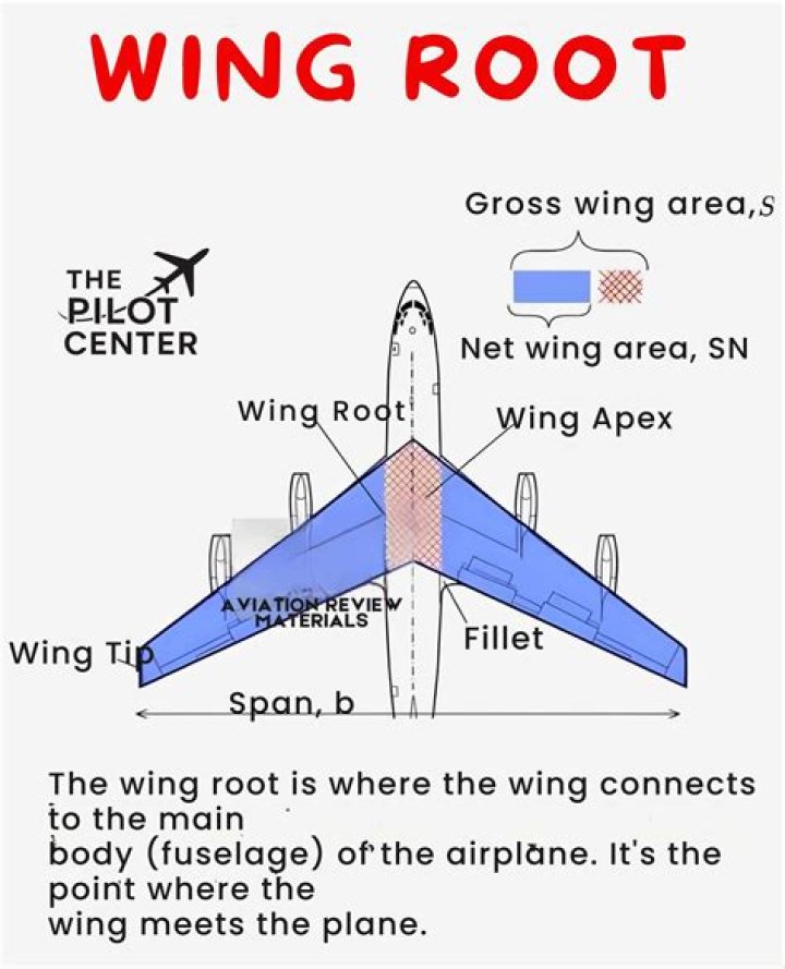 Why does the wing root stall first?