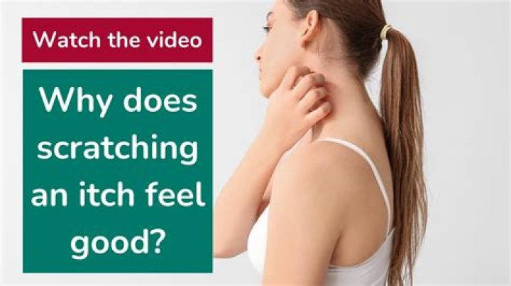 Why does your itch move when you scratch it?