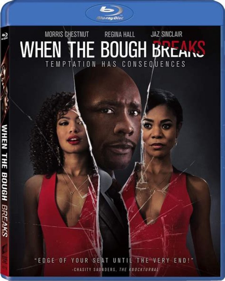Why is when the bough breaks Rated PG 13?