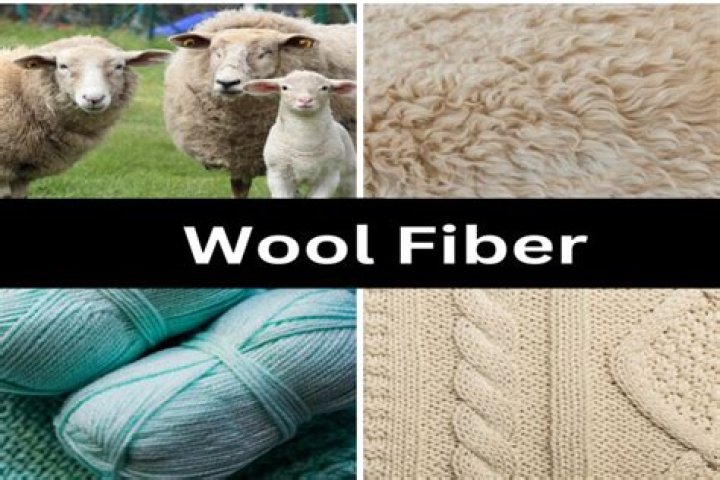 Why is wool produced in Australia?