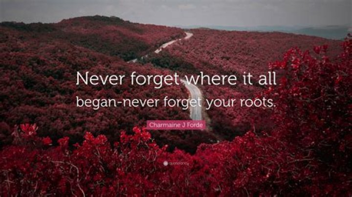 Why should we never forget our roots?