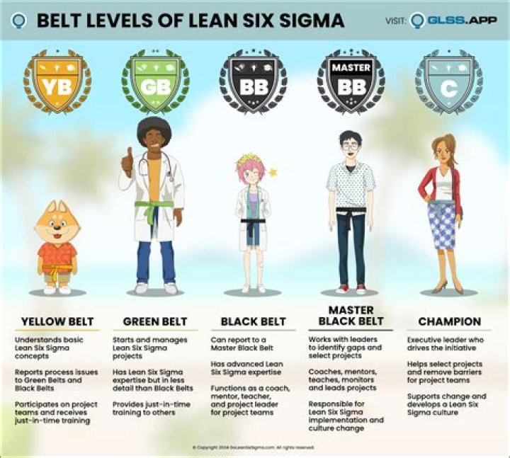 Wie wird man Six Sigma Black Belt?