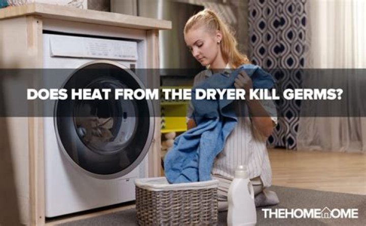 Will heat from the dryer kill lice?