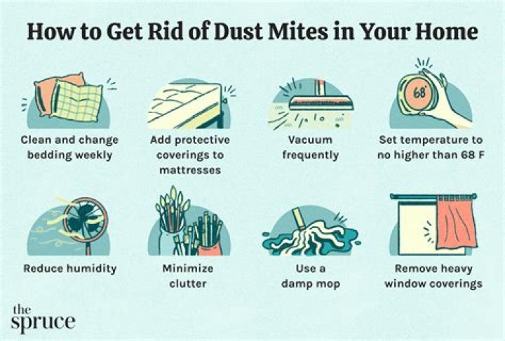 Will putting a pillow in the dryer kill dust mites?